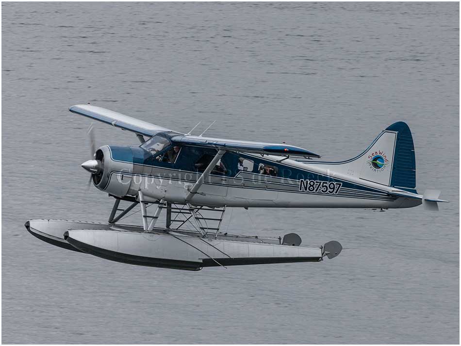 de Havilland Beaver